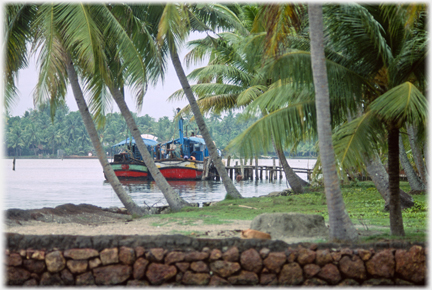 Two larger boats with cabins moored at a pier, seen between palms.
