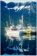 Fishing boats in Isafjordur.
