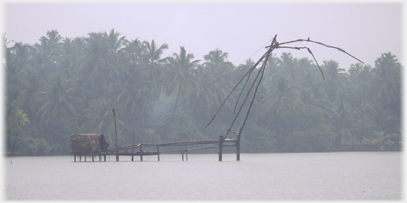 Single Chinese net frame.