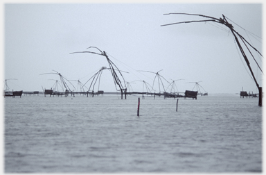 A view of a number of nets.