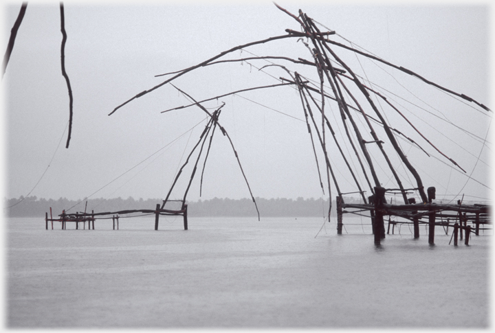 Sets of frames like insects in the rain.