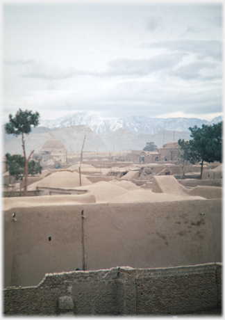 Isfahan rooftops.