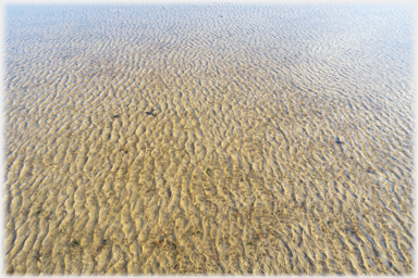 Sand and water ripples.