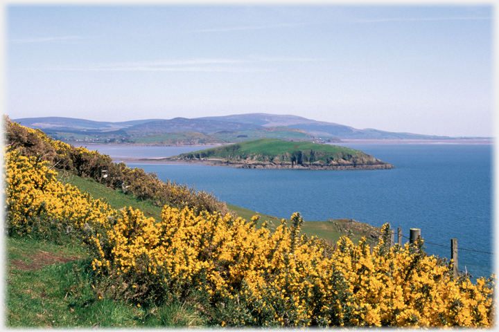 Gorse and Hestan Island