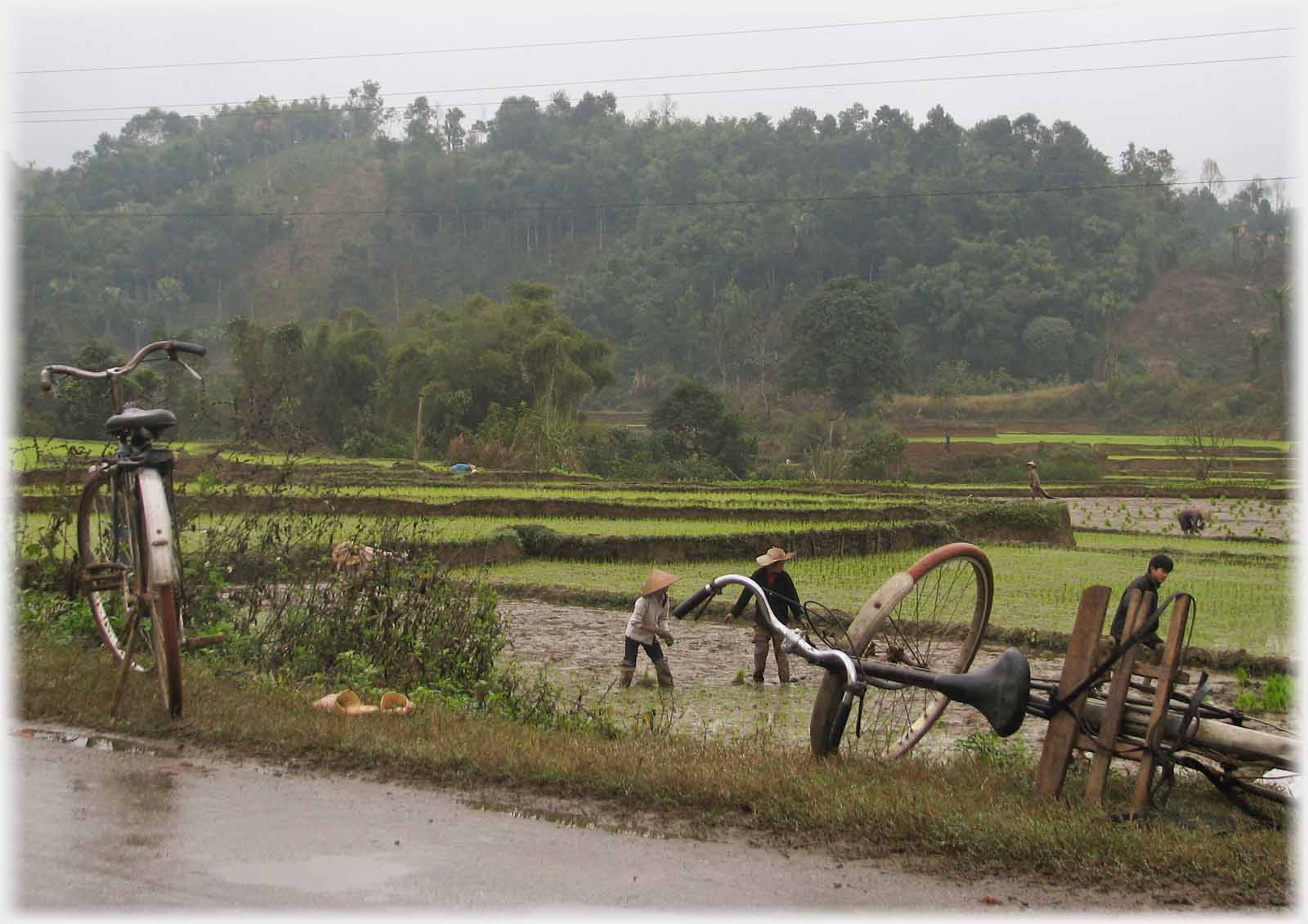 A cycle on its side, and one standing, workers in field beyond.