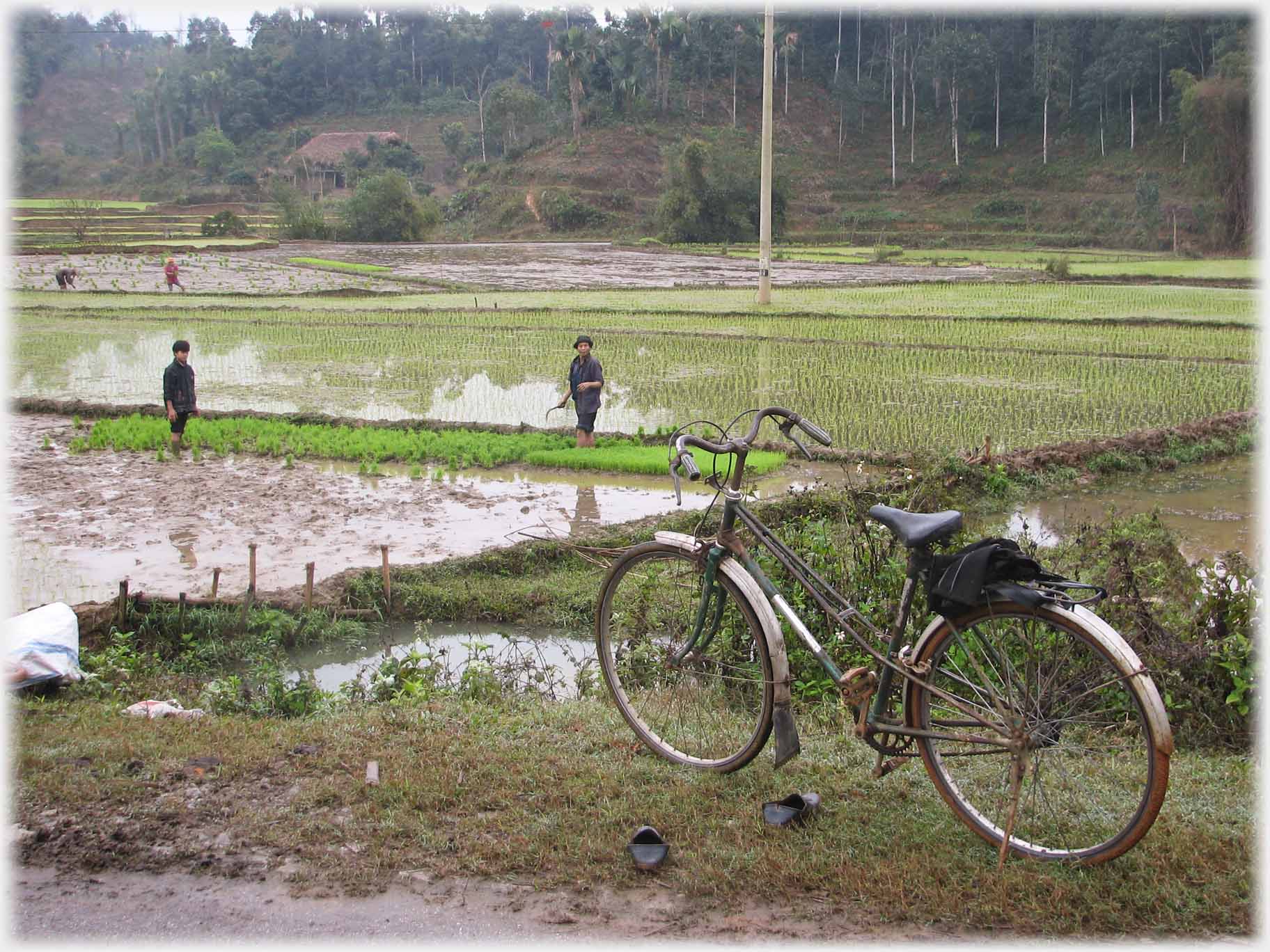Bicycle standing, two workers looking up.