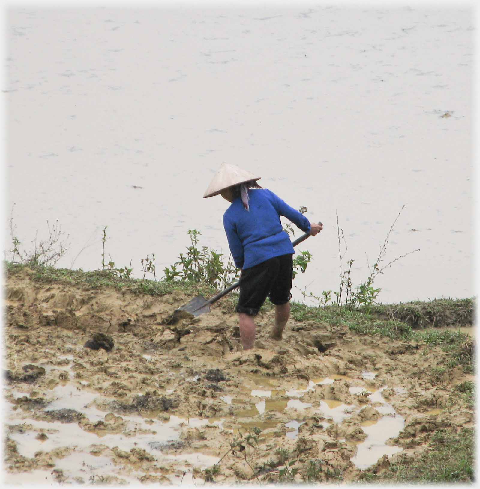Woman digging in mud.