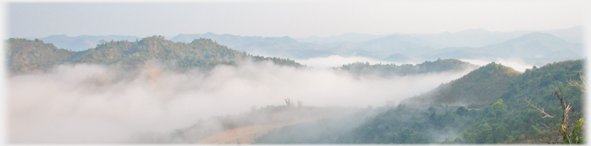 View across hill with mist surrounding it.