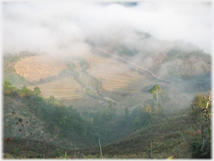 Looking down to fields below with mist clearing away.