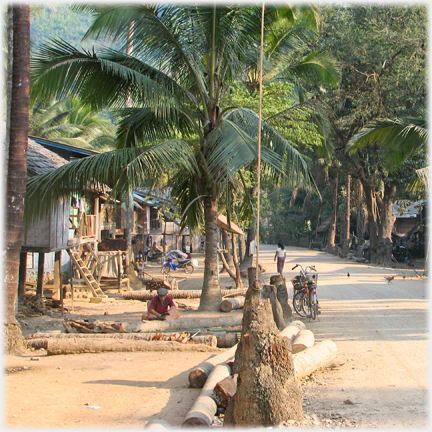 Street scene with small Thai type houses and logs lying around.
