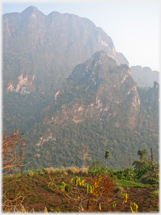 Towering vertical karst formations.