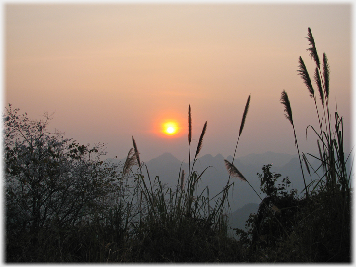 Sun setting above mountains with grasses silhouetted.