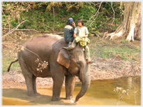 Elephant with two riders drinking at pool.