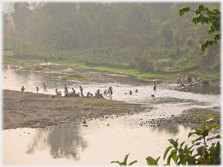 Two or three dozen children and families playing in shallow water.