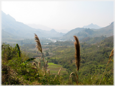 Wide valley with river and near-by grasses.