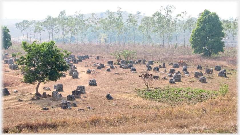 Area with scores of Jars, trees beyond.