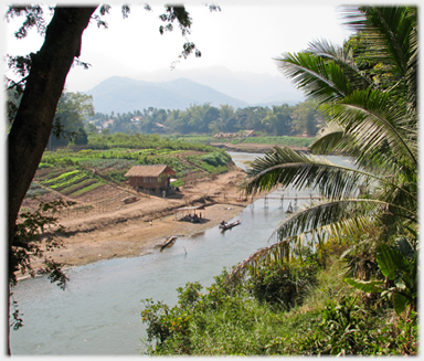 The view down the river towards the foodbridge with fields of vegetables on the far side.