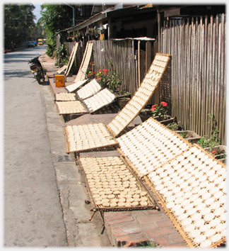 A pavement with a line of large boards on which are small circles of cake.
