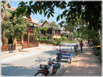 Tree lined street in Luang Prabang.