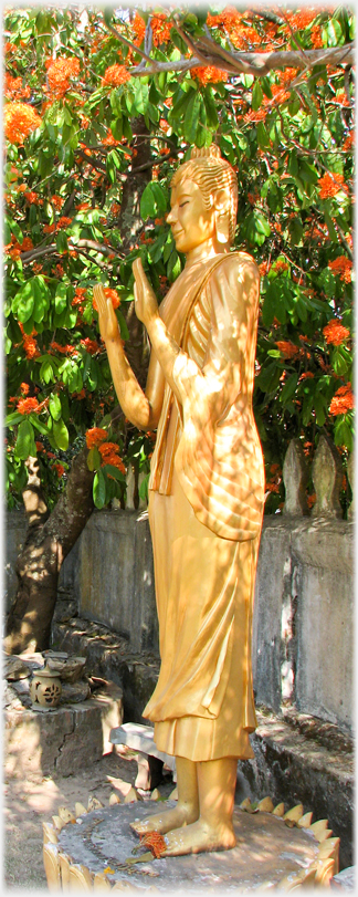 Standing gold Buddha surrounded by a flowering tree.