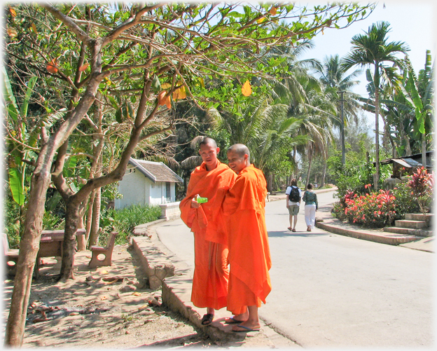 Two monks stand at a roadside, two women walking away, palms and flowers around.
