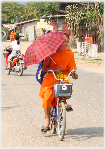 Two monks on a bicycle, the passenger peering round the cyclist who holds an umbrella.
