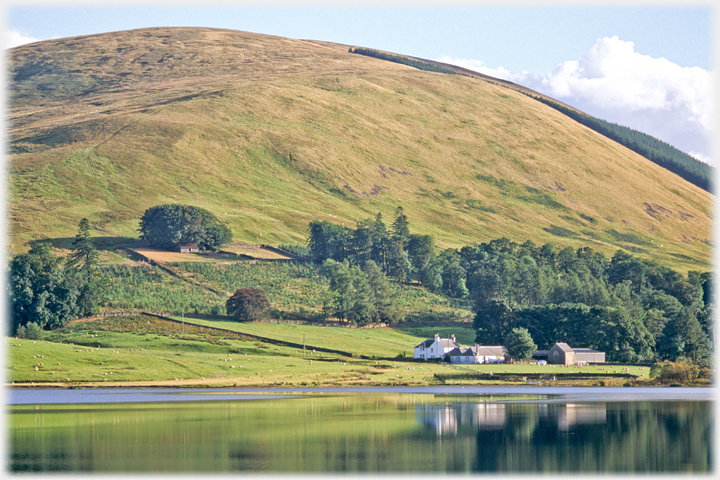 Riskinhope farm and hill.