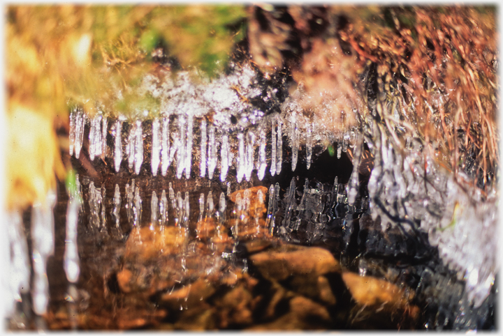 Icicle reflections.