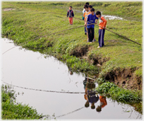 Group of boys with long bamboo rods by a stream.