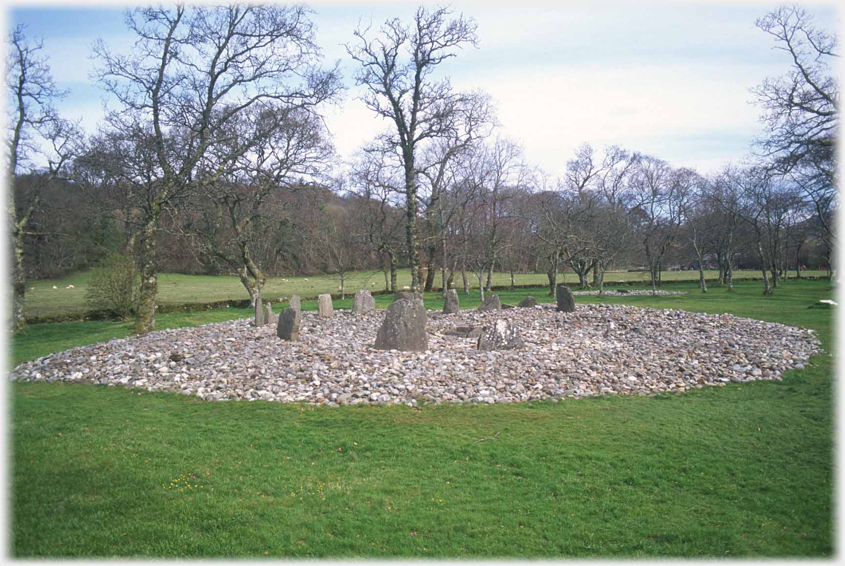 Standing stones forming a circle in an area of small stones.