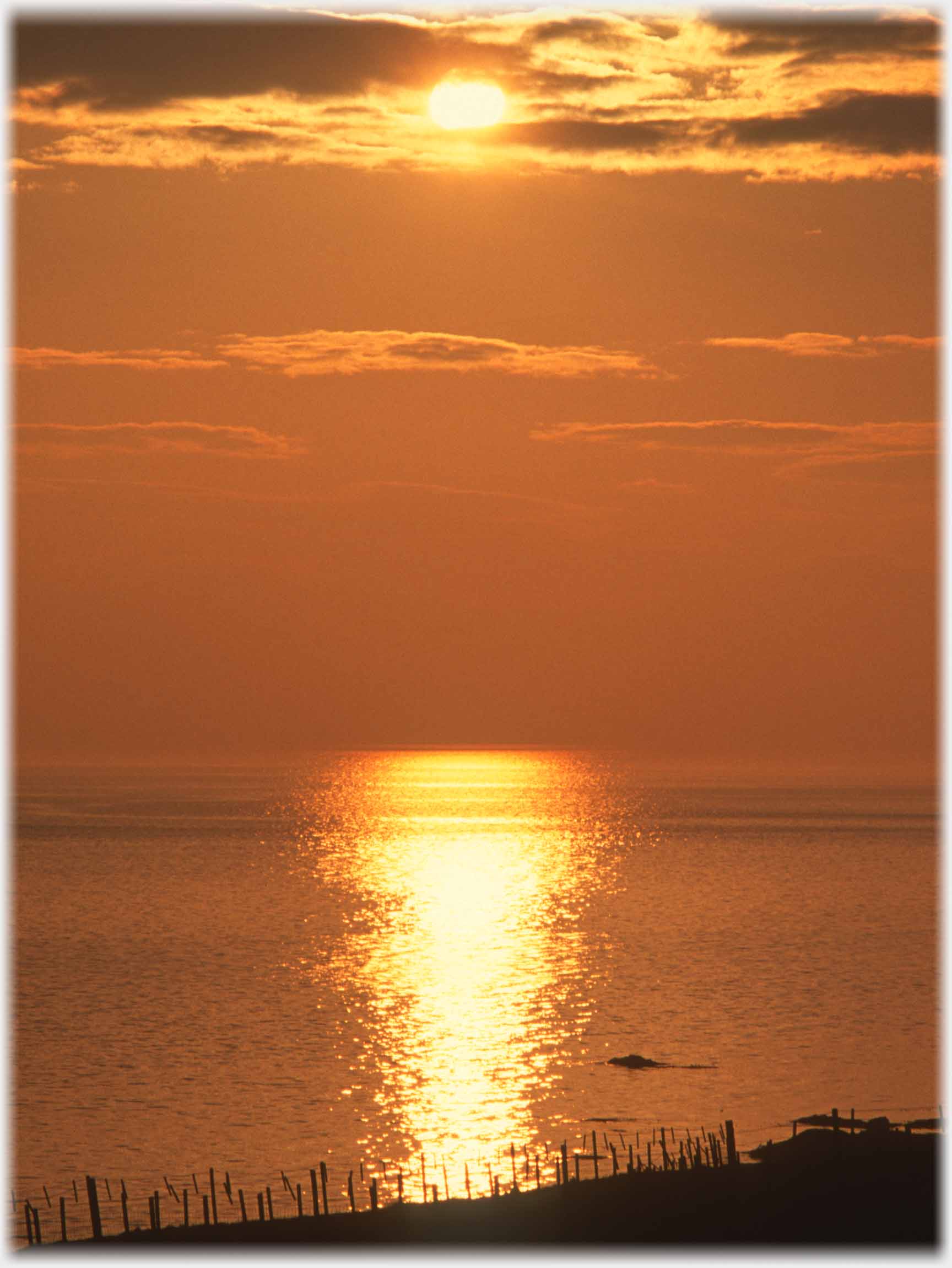 Golden sun reflected across water with fence in foreground.