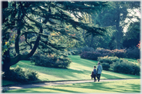 Autumn stroll in Edinburgh's Botanics.