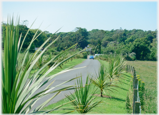 Entrance driveway to the Gardens.