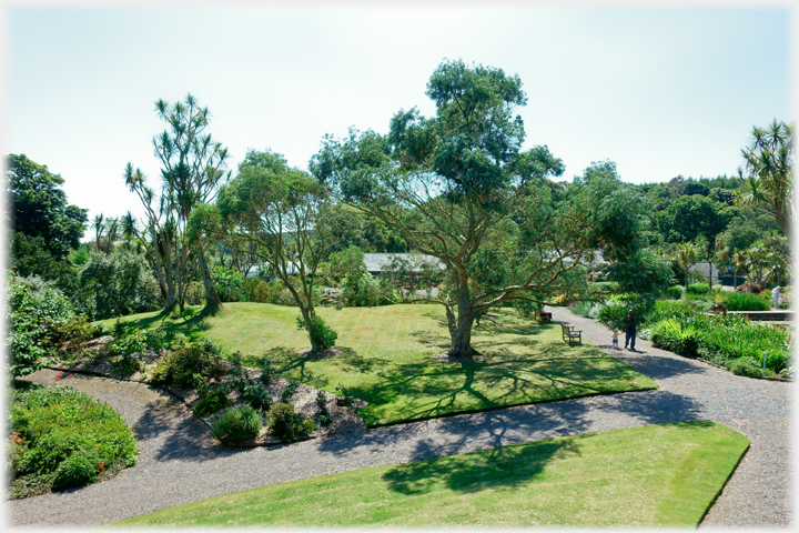 The main garden area.