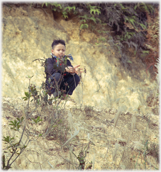 Boy sitting watching.