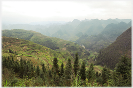 Valley and fields.