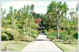 Main pathway in Logan gardens.