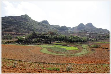 Curved fields by village.