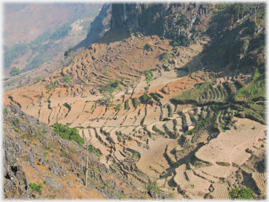 Terraces on approach road.