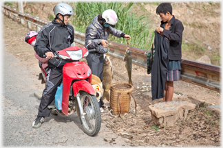 Selling fish on the road.