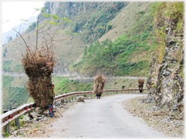 People carrying corn stalks.