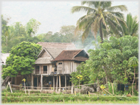 Thai stilt house between trees.