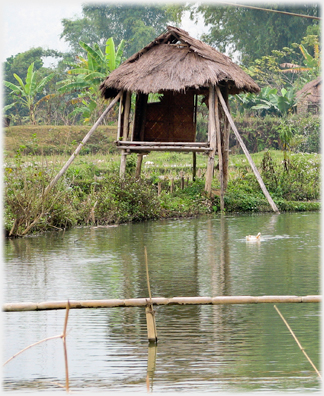 Hut on stilts by water.