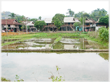 Three fields in front of village houses.