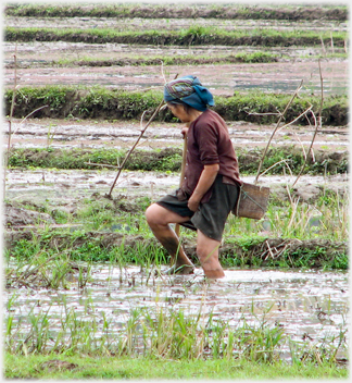 Woman walking in field of mud.