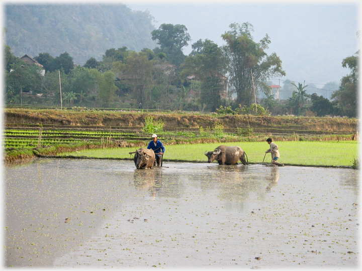 Two men ploughing.