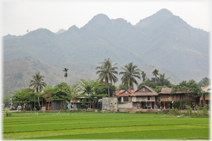 Line of stilted Thai houses beside fields.