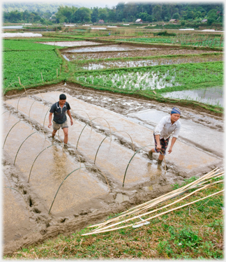 Two people setting up protective frames over mud ready to be planted.