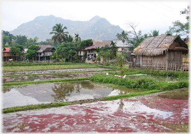 Flooded fields with houses beyond.