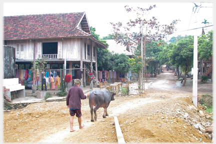 Unpaved track leading into the village on which is a man in bare feet following a buffalo.